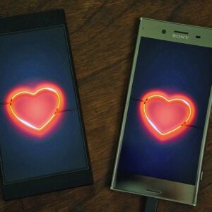 Online-Kurs Modul 1 "Warum ist eine emotionale Verbindung wichtig für leidenschaftliche Beziehungen?"